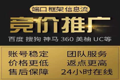 SEM运营推广助力行业领导地位